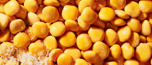 /products/lupini-beans-variety