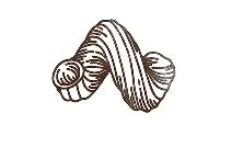 CURLY MAC hover icon