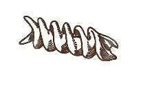 Fusilli hover icon